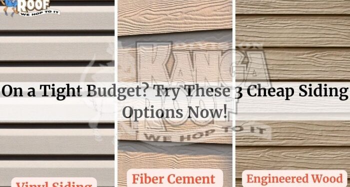 On A Tight Budget? Try These 3 Cheap Siding Options Now!