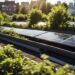 Cost-Effective Green Roofing: Sustainable and Affordable Solutions ...